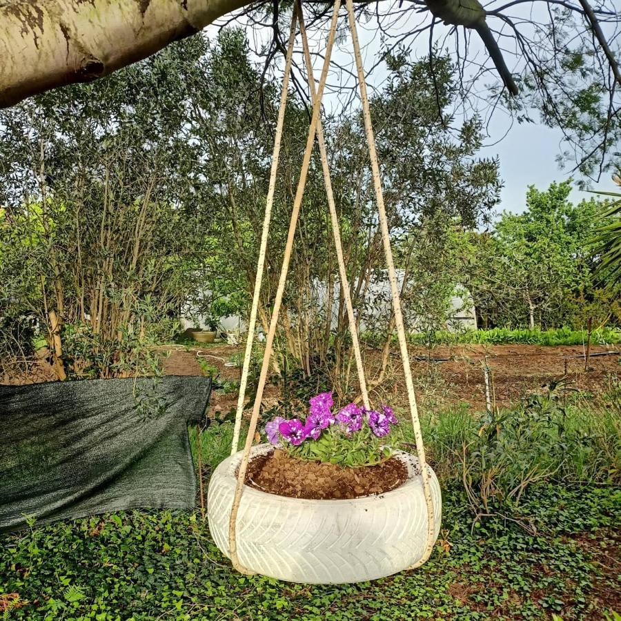 Agriturismo Il Cipresso Vada Dış mekan fotoğraf