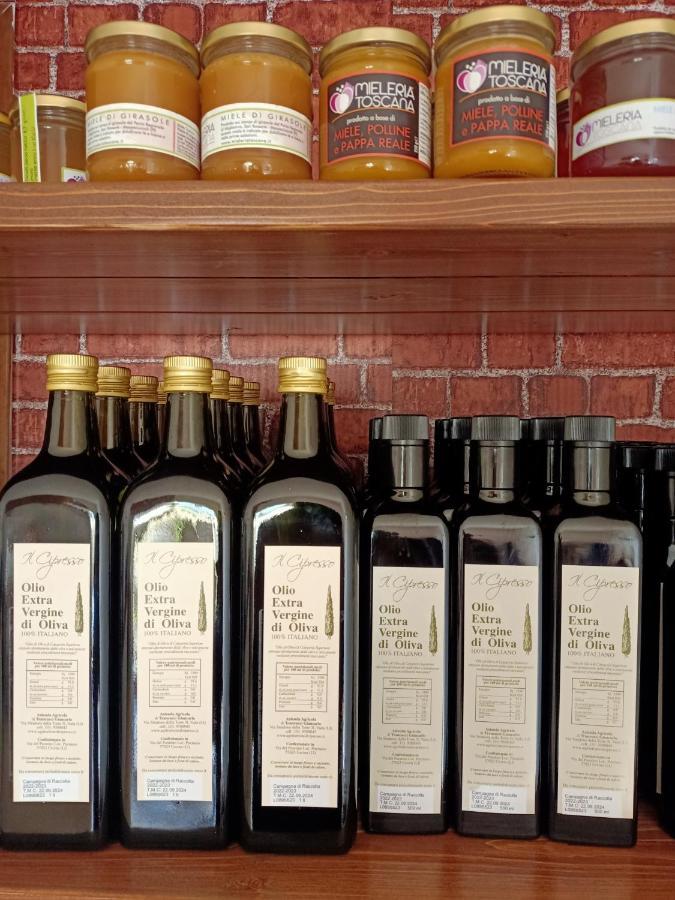 Agriturismo Il Cipresso Vada Dış mekan fotoğraf